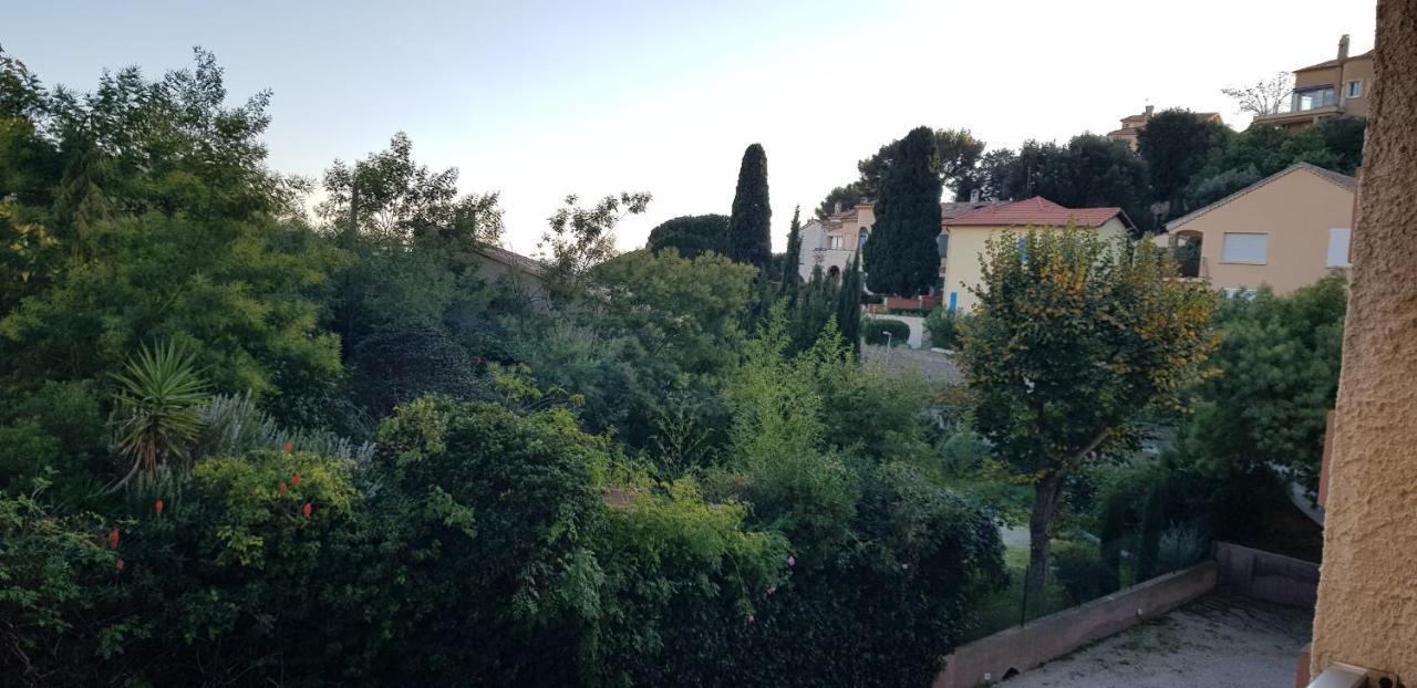 Apartment Avec Terrasse 2 Personnes Le Lavandou