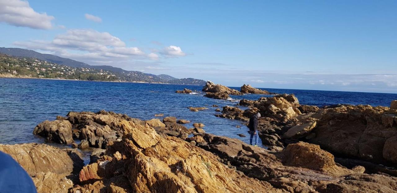 Avec Terrasse 2 Personnes Le Lavandou