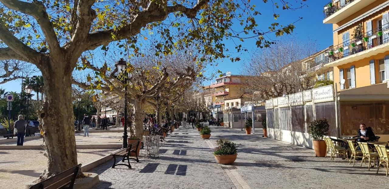 Appartement Avec Terrasse 2 Personnes Le Lavandou