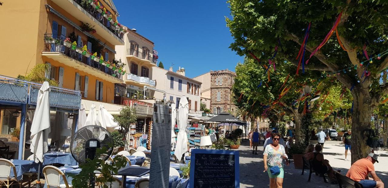 Avec Terrasse 2 Personnes Appartement Le Lavandou